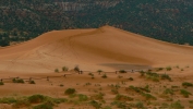 PICTURES/Coral Pink Sand Dunes/t_Dunes5.JPG